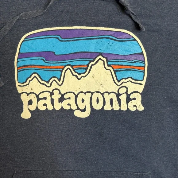 Patagonia Organic Cotton Blue Pullover Center Logo Long Sleeve Graphic Hoodie S - Picture 2 of 7